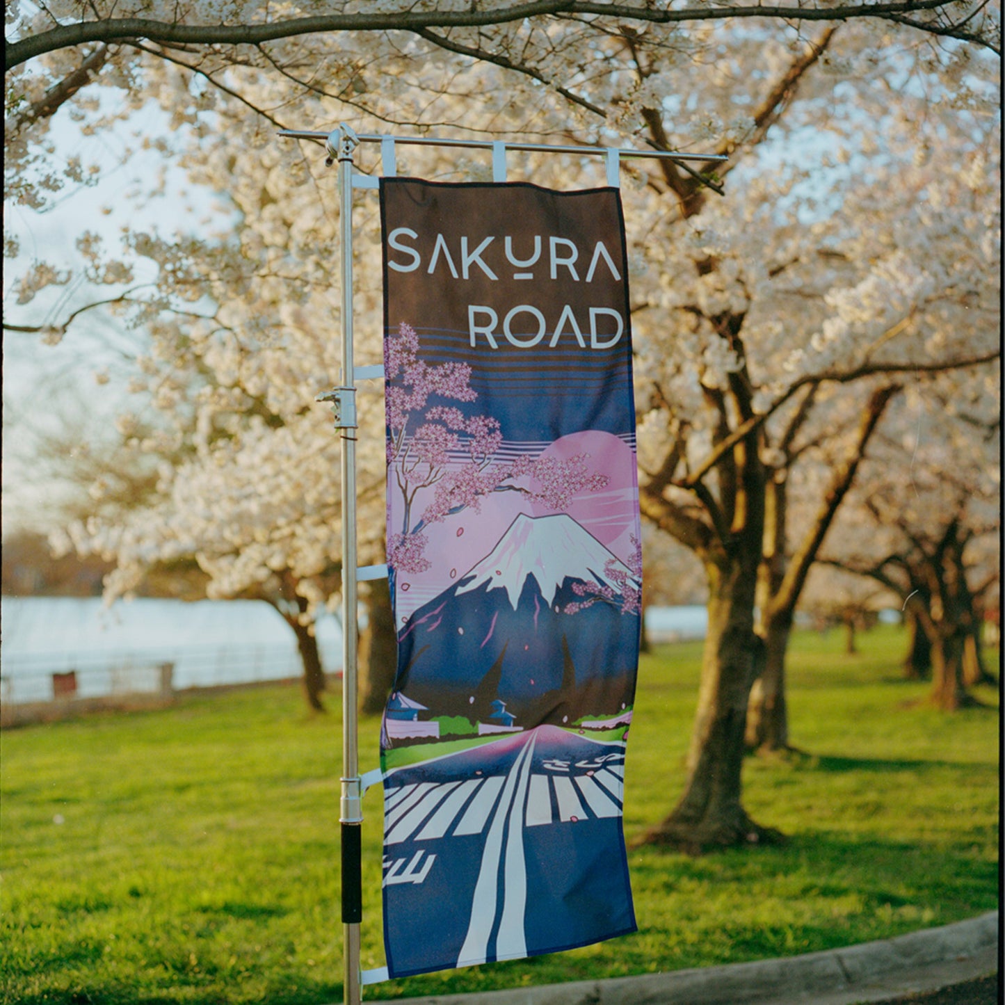 Sakura Road Nobori V.1