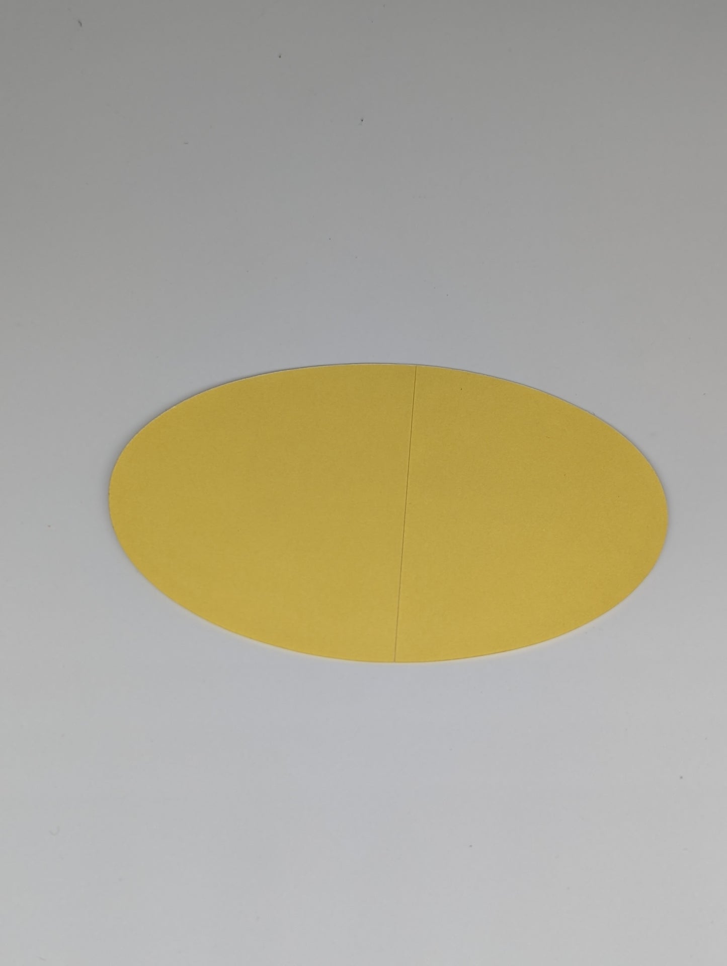 TRUST/Greddy Oval sticker